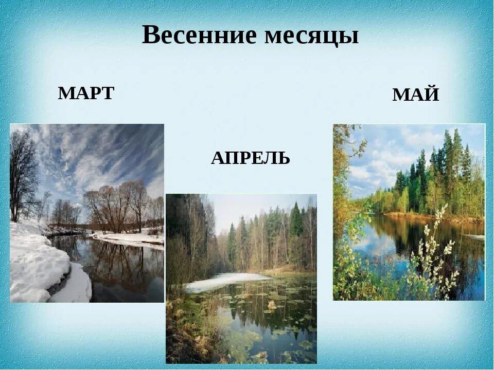 Весенние месяцы. Весенние мясяцв. Весенние месяцы для детей.