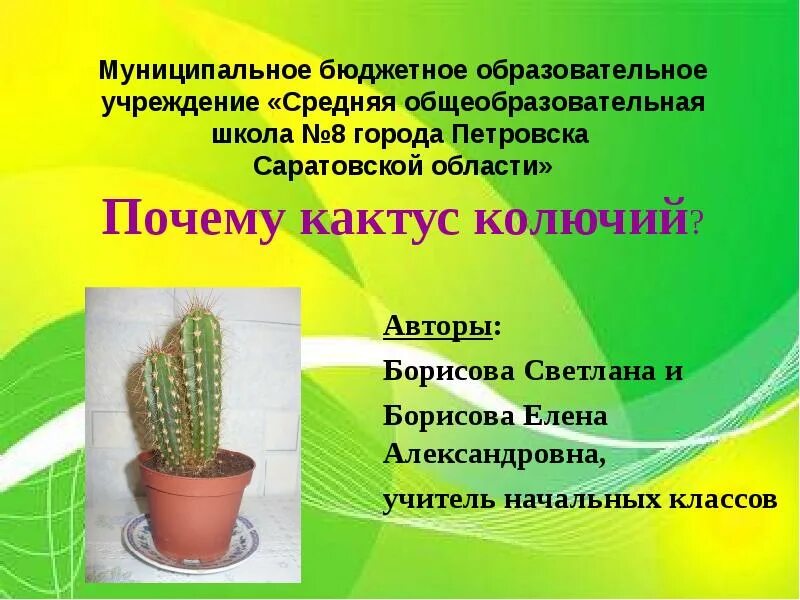 Сообщение о кактусе
