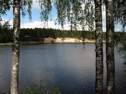 Погода рощино ленинградская выборгский