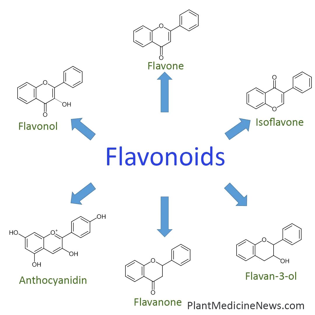 Виды флавоноидов. Флавоноиды и изофлавоноиды. Флавоноиды это Фармакогнозия. Флавоноиды в растениях. Флавоноиды антиоксиданты.