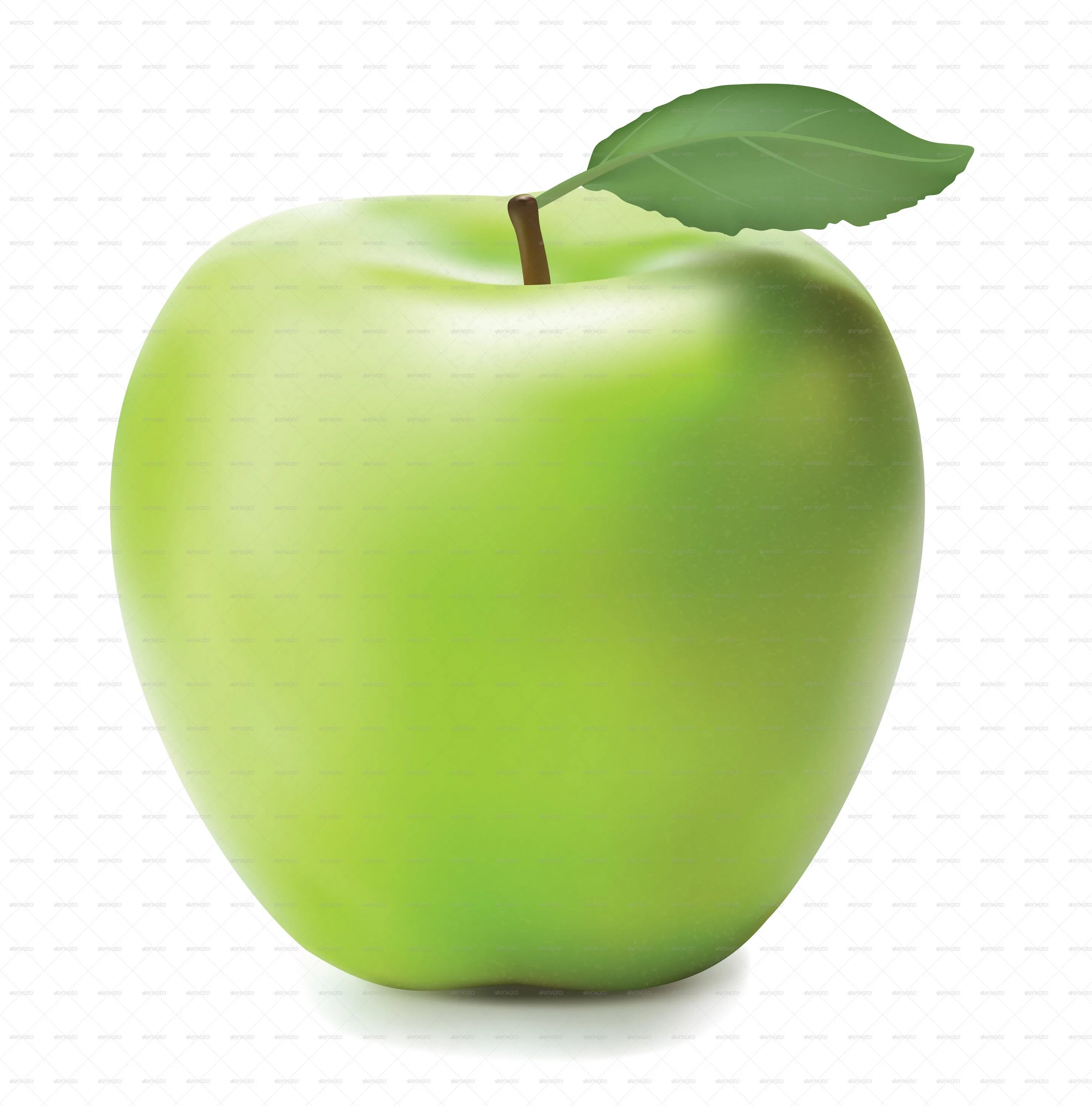Я хочу зеленое яблоко прямо. Яблоки зеленые. Яблоко с листиком. Зеленое яблоко с листочком. Яблоко зеленое крупное на белом фоне.