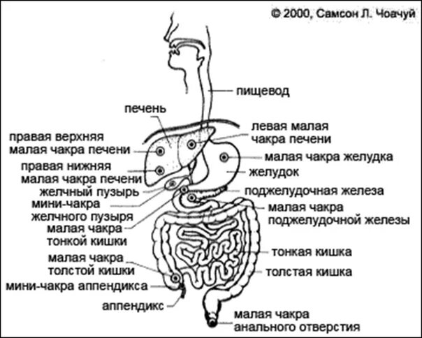 Боль в области пищевода