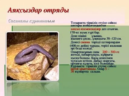 Жігіттер қалай онлайн спермы