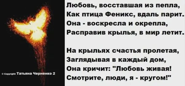 Я в атмосфере словно пепел сгораю слова. Феникс цитаты. Стихотворение про Феникса. Афоризмы про Феникса. Высказывания про Феникса.