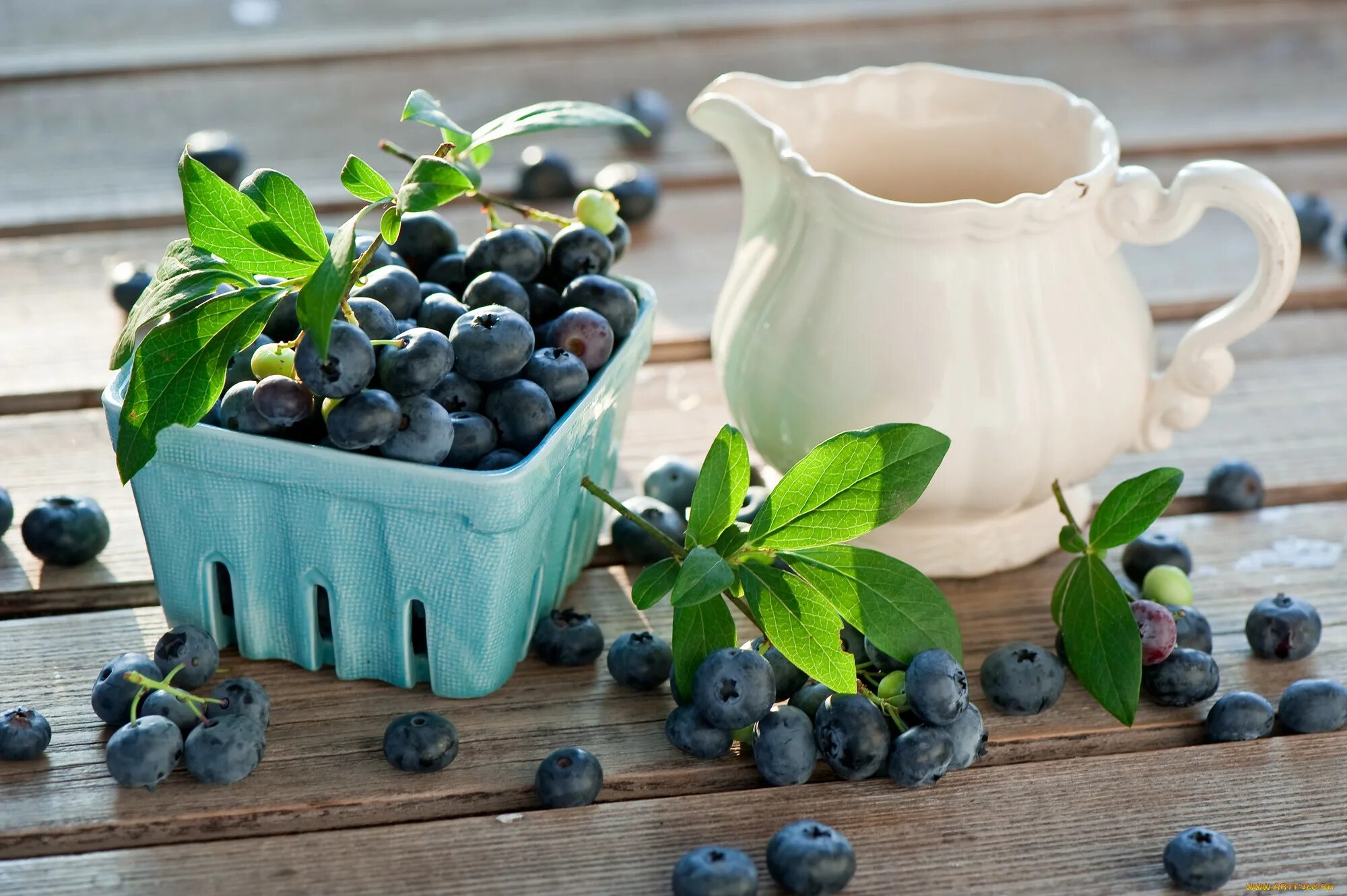 Голубика утром. Черника blueberry. черника и голубика и ирга. черника и голубика. фрукты черника голубика.