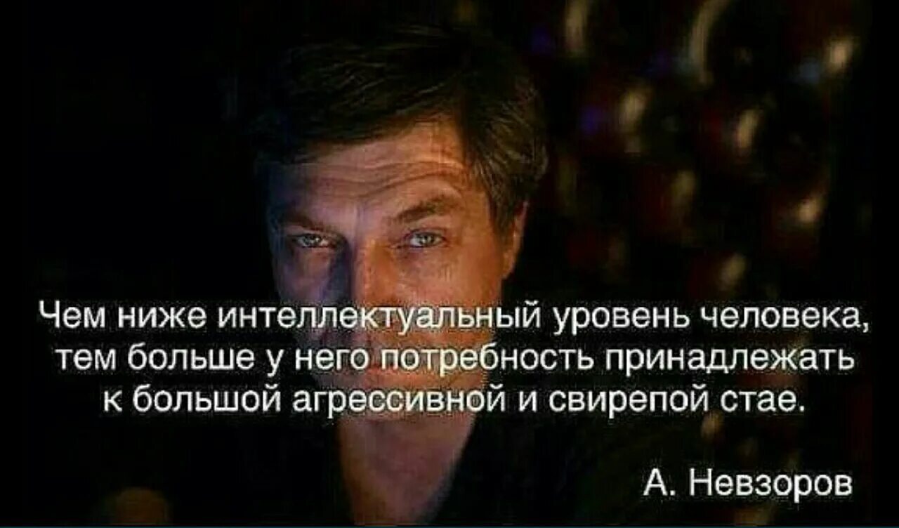 Люди с низким интеллектом. Уровень людей цитаты. Высказывания Невзорова. Уровень человека фразы. Глупый принадлежать