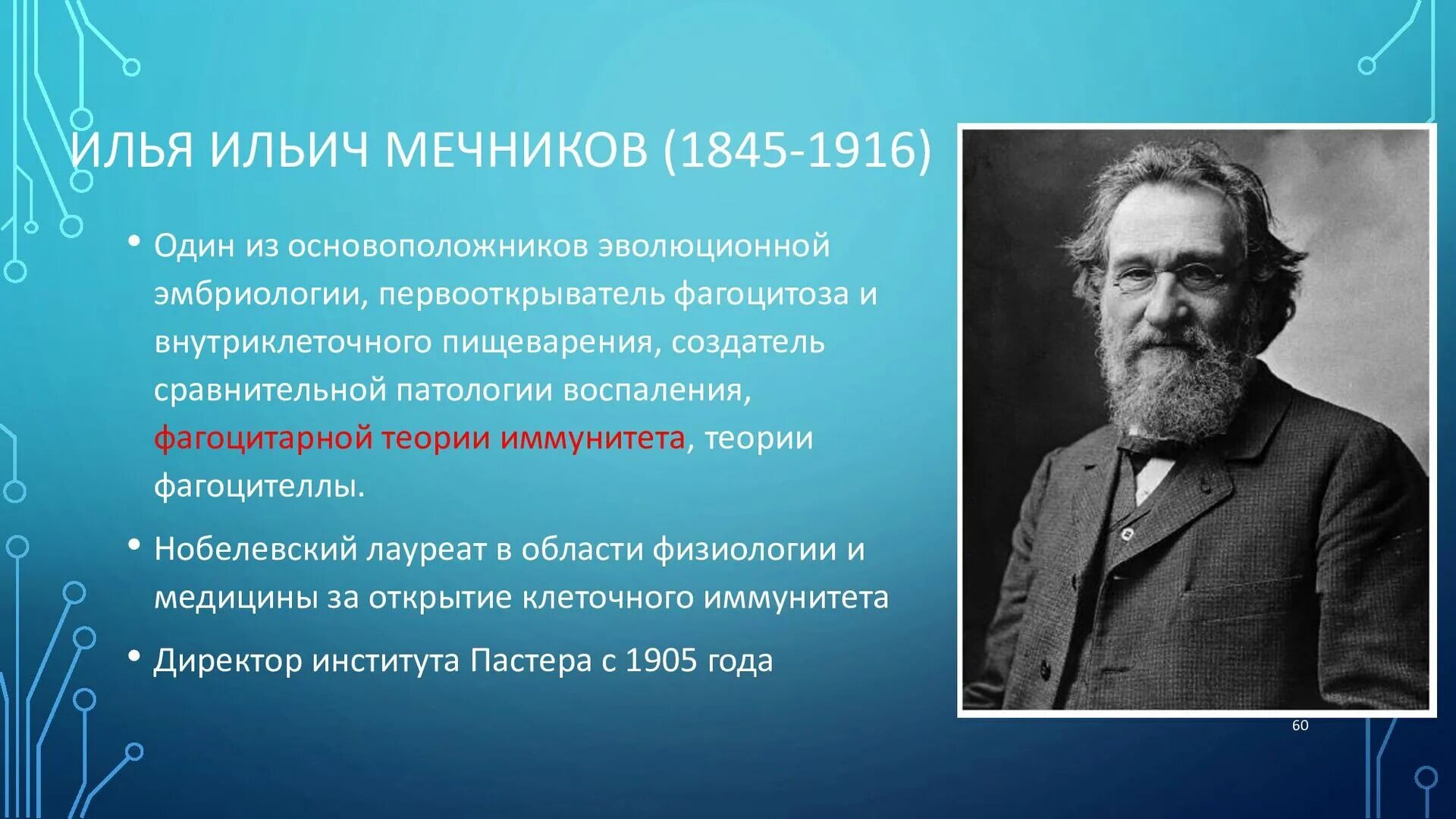 Какое явление открыл мечников. Ильи Ильича Мечникова (1845—1916). Мечников и.и. (1845-1916).