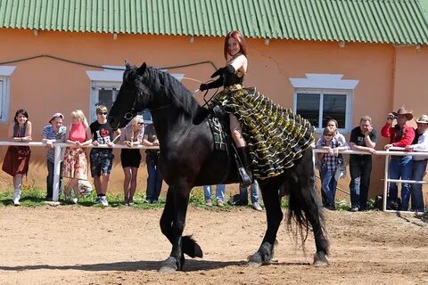 Аванпост можайск
