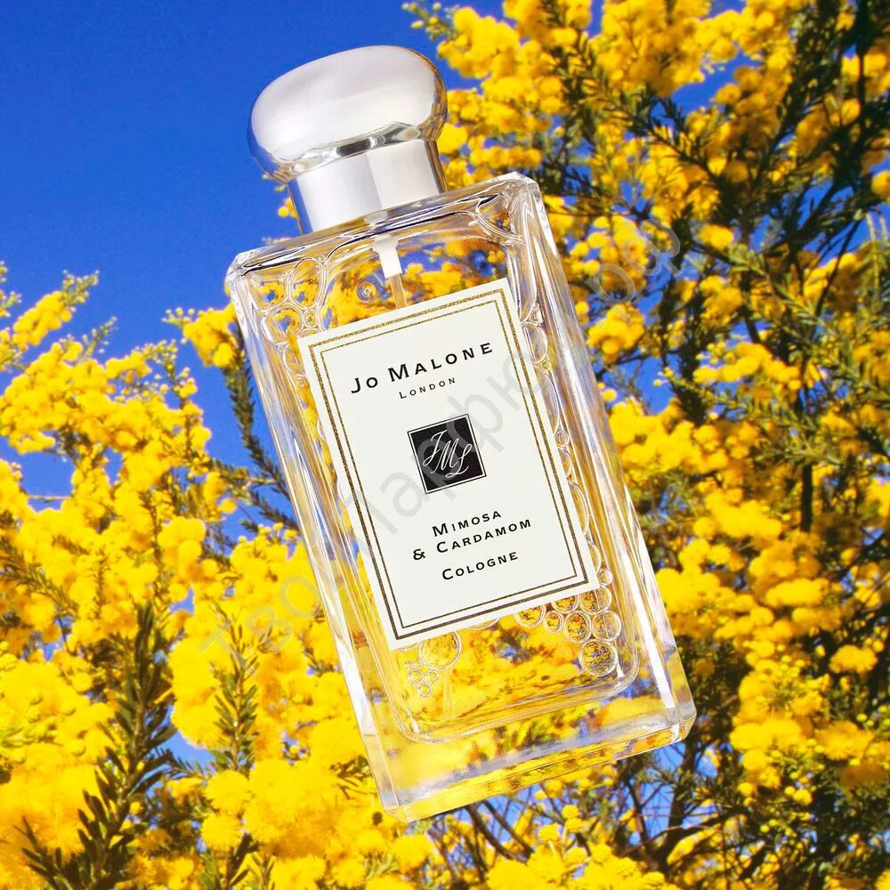 Духи Джо Малон Mimosa. Jo Malone Mimosa & Cardamom 100мл;. Духи Jo Malone Mimosa Cardamom. Джо Малон Мимоза 30 мл.