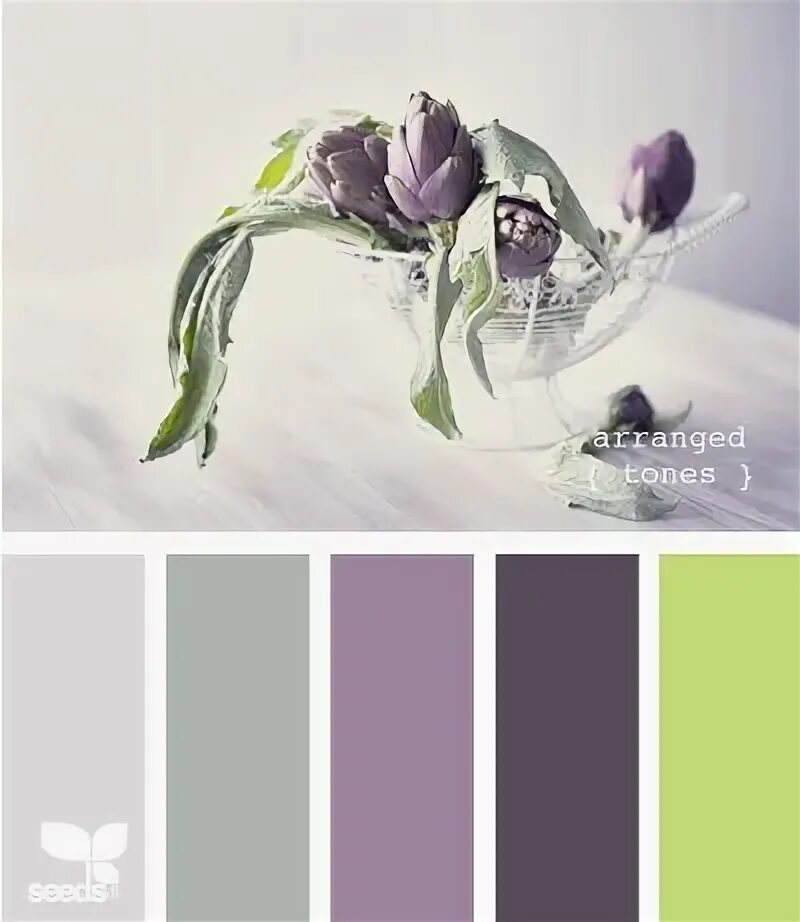 Sunset Reflection - Color Palette Pantone color, Color balance, Color pallets