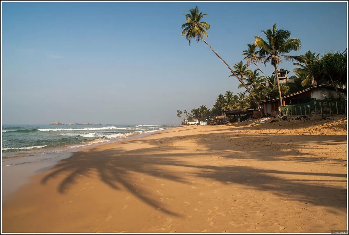 Дал шри ланка. Хиккадува Шри Ланка. Ваддува Шри Ланка. Пляж Ваддува Шри Ланка. Пляж Хиккадува Шри Ланка.