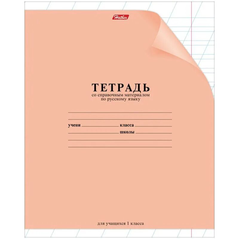 Печ тетрадь. Тетради. обложка для тетради. обложка ученической тетради. тетрадь обычная.