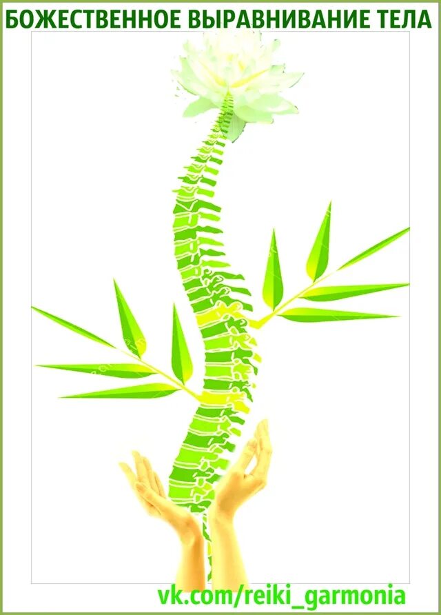 Энергия божественного выравнивания тела. Божественное выравнивание тела. Методика исцеления. Божественное выравнивание. Божественное выравнивание позвоночника.