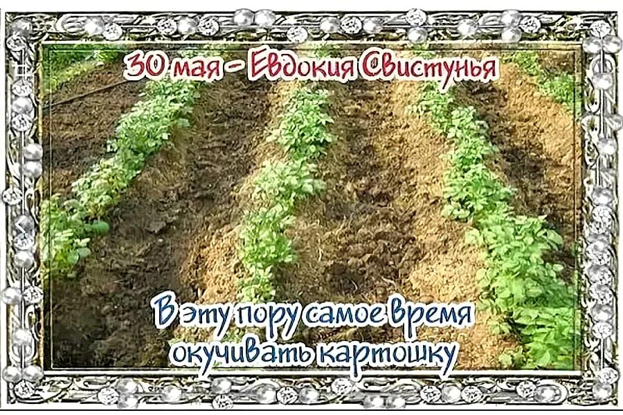 День 30 мая праздник. 30 Мая народный календарь.