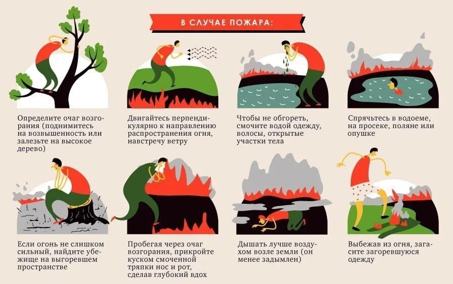 Как выйти из лесного пожара