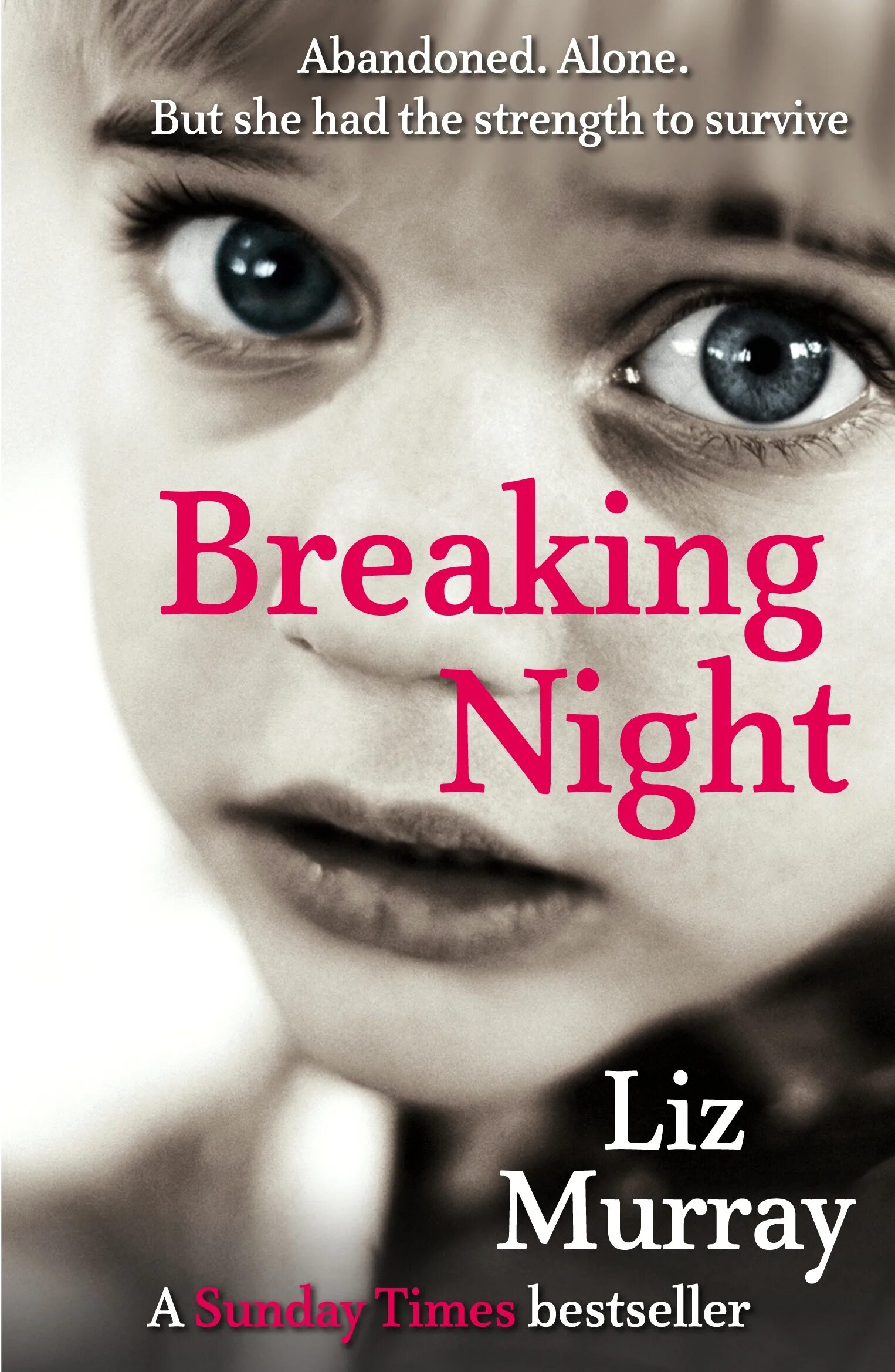 Breaking night. Breaking night liz murray. breaking night book. breaking night book cover.