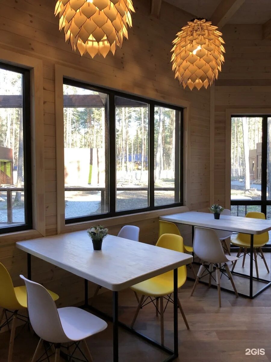 Отель wood park алтай. Эко база. Wood park (вуд парк), эко-база. Отель шишка горно алтайск. Сосна green park алтай.
