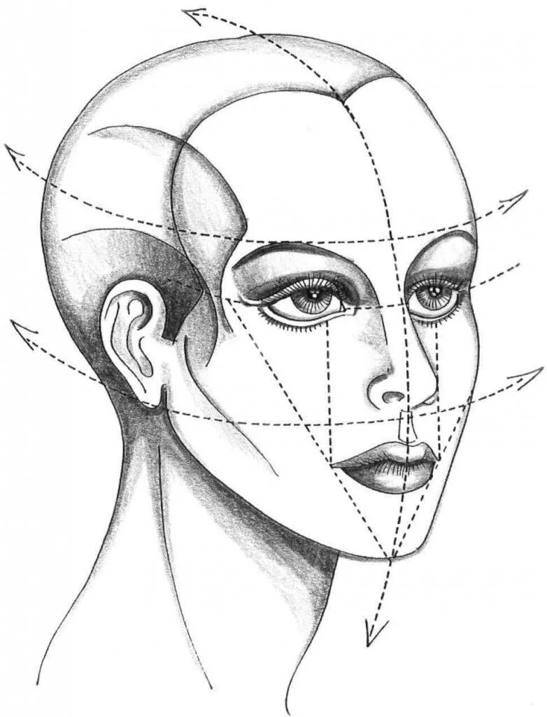 Лицо рисунок схема. Схема лица человека для рисования. Голова человека в пространстве. Пропорции лица для рисования. Строение лица для рисования.