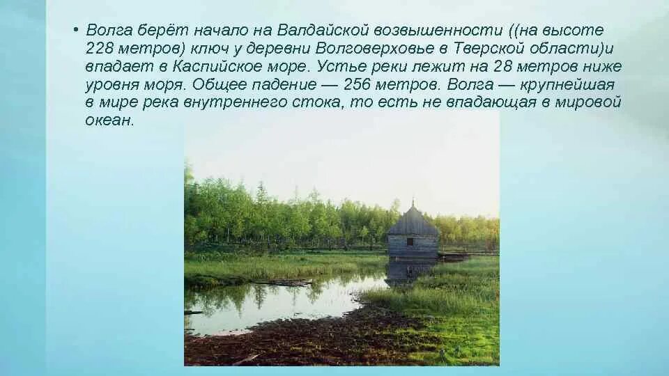 Откуда берет начало р. Валдайская возвышенность Исток Волги. Начало реки Волги Исток. Волга берет начало на Валдайской возвышенности. Валдайская возвышенность река Волга.