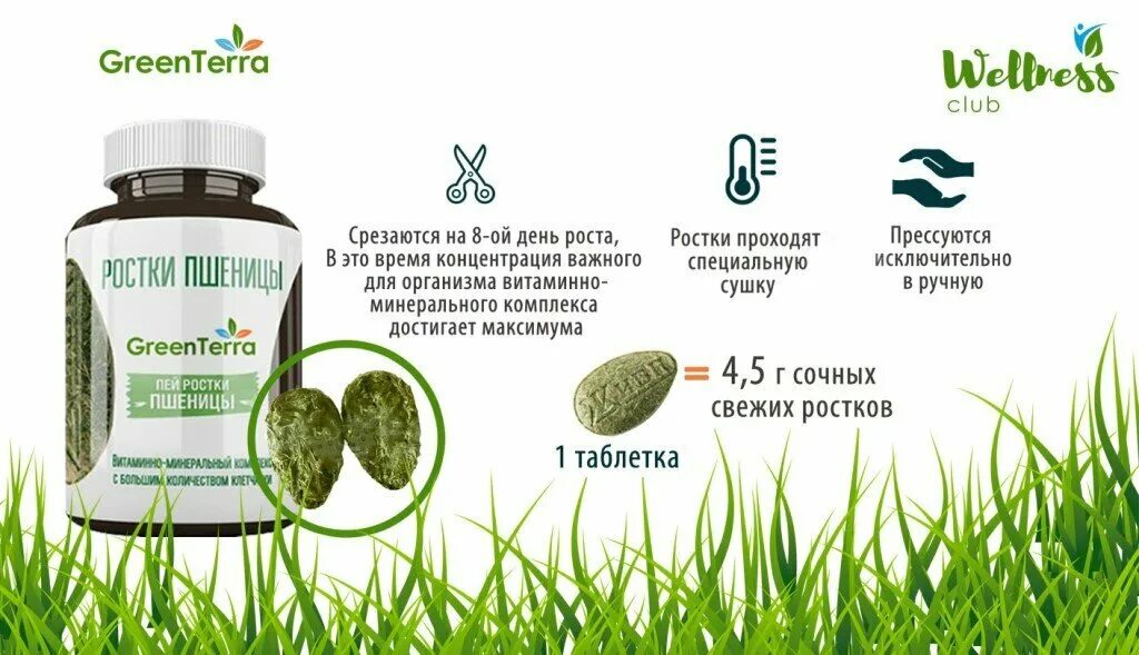 ростки пшеницы отзывы