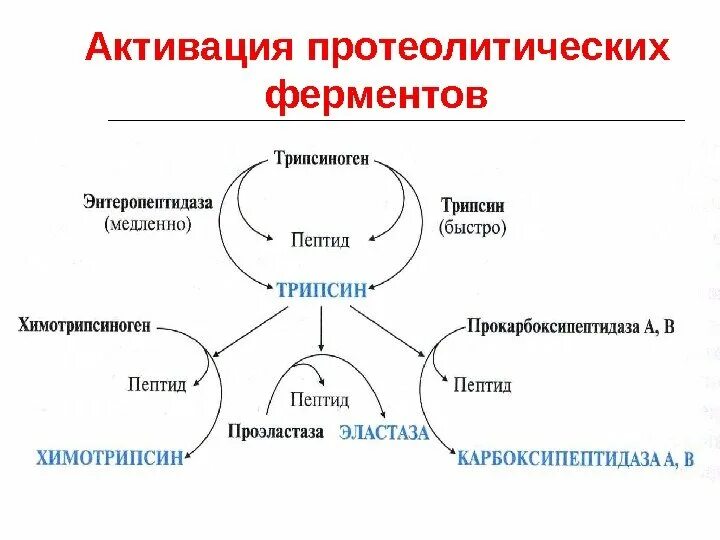 Активируй следующую