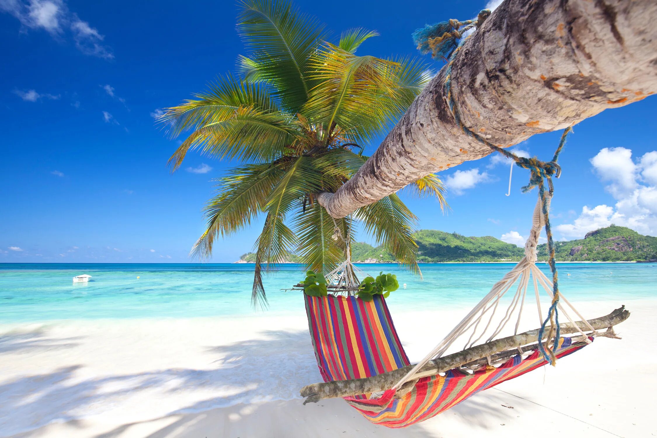 Island trip. Пляж Баунти Тайланд. Пляж с пальмами. Гамак на пляже с пальмами. Райский остров.