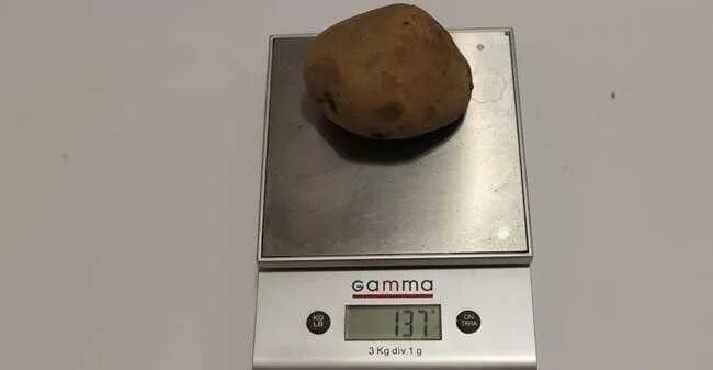 Вес 1 картофеля. 100 Грамм картофеля. Вес одной картошки средней. Средняя картошка граммы. Вес одной средней картофелины.