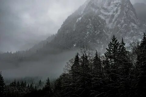 Серая гора