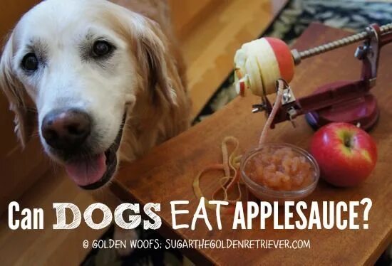 Dogs eat перевод на русский. My Dog.... To eat Apple. What is safe for Dogs to eat. Spinach the Dog. Купить AC/DC - Dog eat Dog.