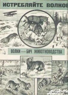 Истреблять