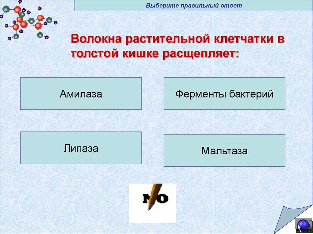 В каком отделе расщепляется клетчатка. Расщепление клетчатки ферментами бактерий. целлюлоза расщепляется. фермент расщепляющий целлюлозу. ферменты расщепление целлюлозы.