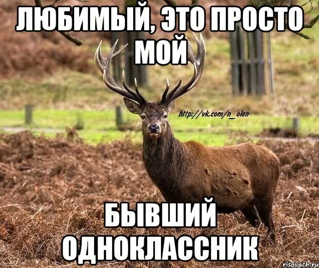 Бывший одноклассник