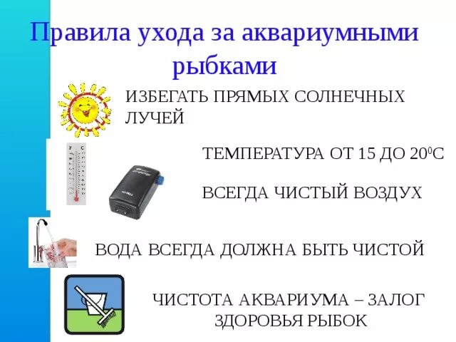 Как ухаживать за аквариумными. Уходу за аквариумом памятка. Правила ухода за аквариумными рыбками. Памятка по уходу за аквариумом для детей. Памятка как ухаживать за рыбками в аквариуме.