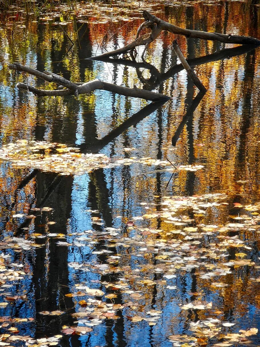 Отражение вода песни. Отражение в воде. Картины с отражением в воде. Отражение в воде рябь. Отражение в воде фото.