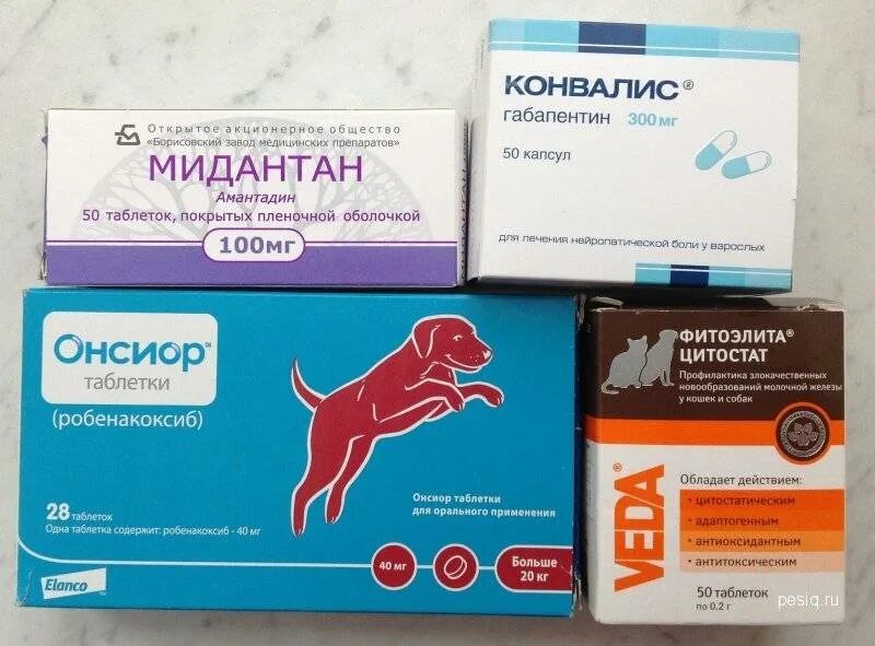 Габапентин применение для собак. Онсиор таблетки. амантадин для собак. габапентин 300 для собак. мидантан 100.