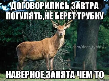 Хочешь погулять завтра