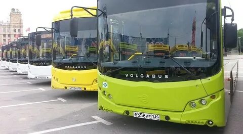 Гумрак волгоград автобус