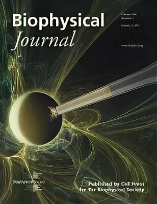 Биофизика журнал. Журнал биофизика. Man Biophysical Machine.