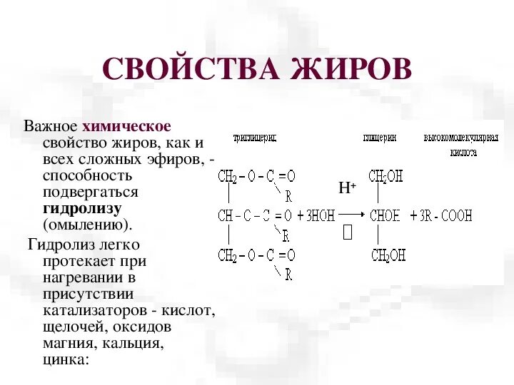 1 группа жиры