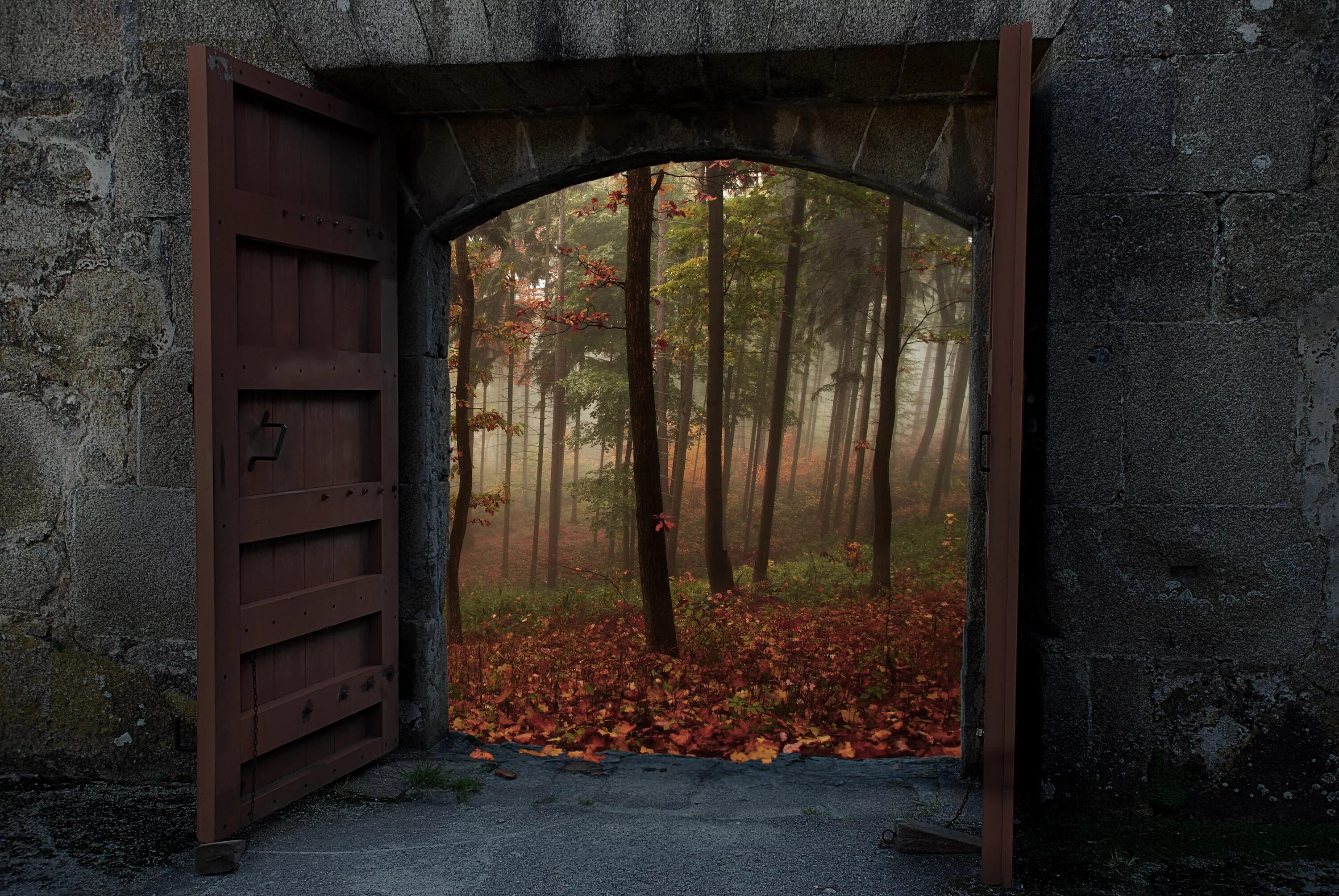 Дверь ворота открытая. Открытая дверь. Дверь в лесу. Открытая дверь в природу. Красивые двери.