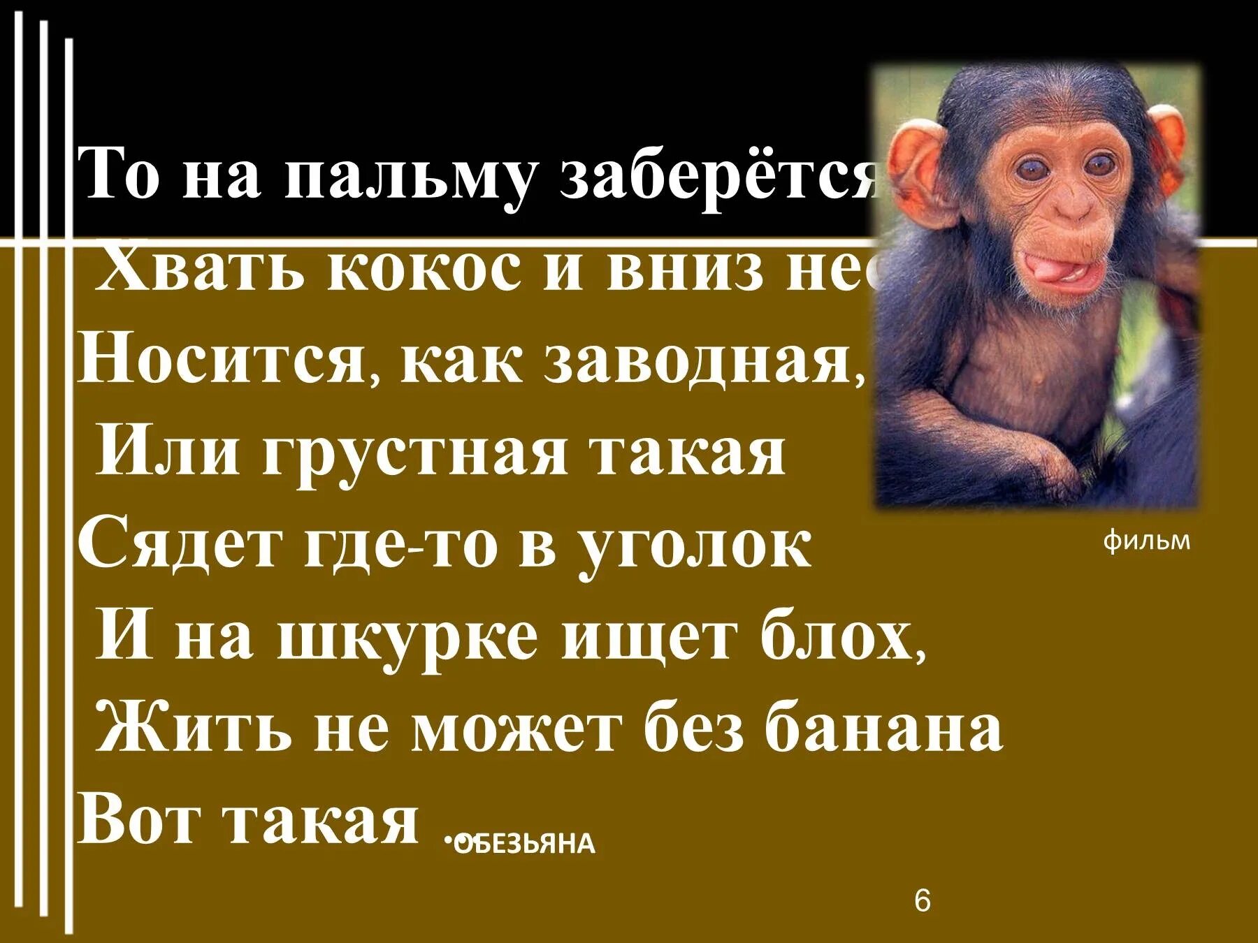 Про обезьянку 3 класс. Житков про обезьянку. Предложение про обезьяну. Рисунок к рассказу про обезьянку. Описание обезьянки из рассказа житкова про обезьянку