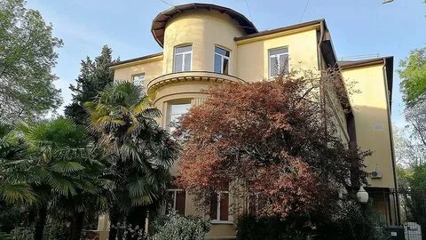 Спид центр краснодар
