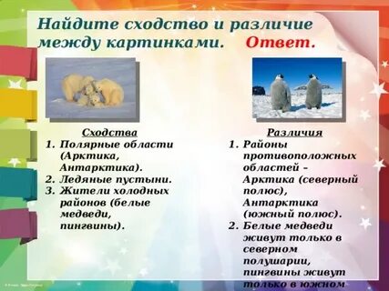 арктика и антарктика в чем разница