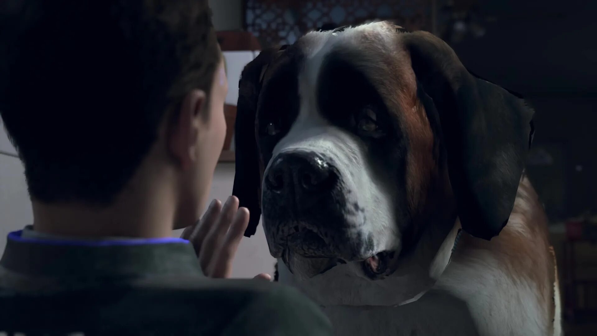 Собака креативная реклама. He like dogs. Собаки. Цитаты из сериала остаться в живых. Маламут утонаган.