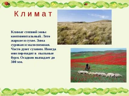 Средняя температура в степи зимой и летом