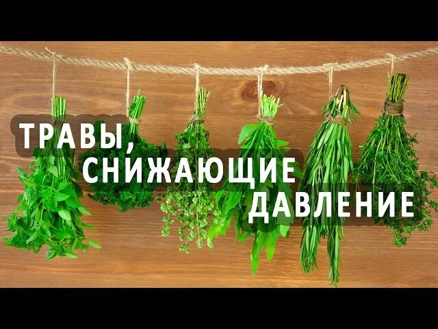 Сбор от гипертонии состав трав. Травы от давления высокого. Сбор трав при гипертонии. Лекарственные растения для снижения высокого давления. Травы для давления.