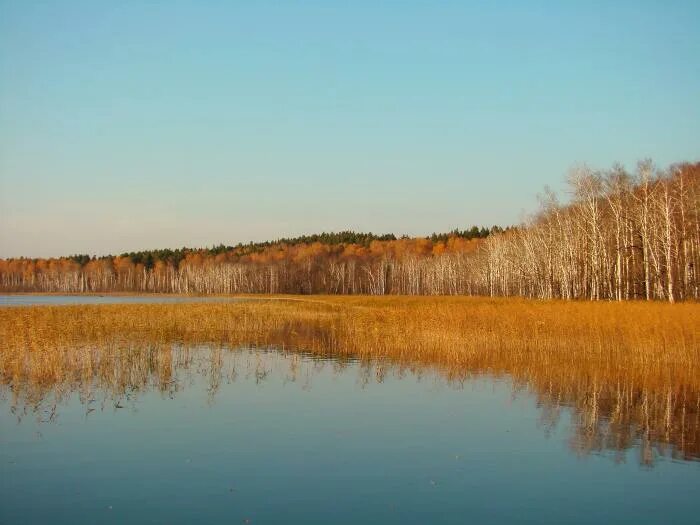 Озеро татыш челябинская область база. Озеро татыш челябинская область. Татыш. Озеро татыш челябинская область. Татыш.
