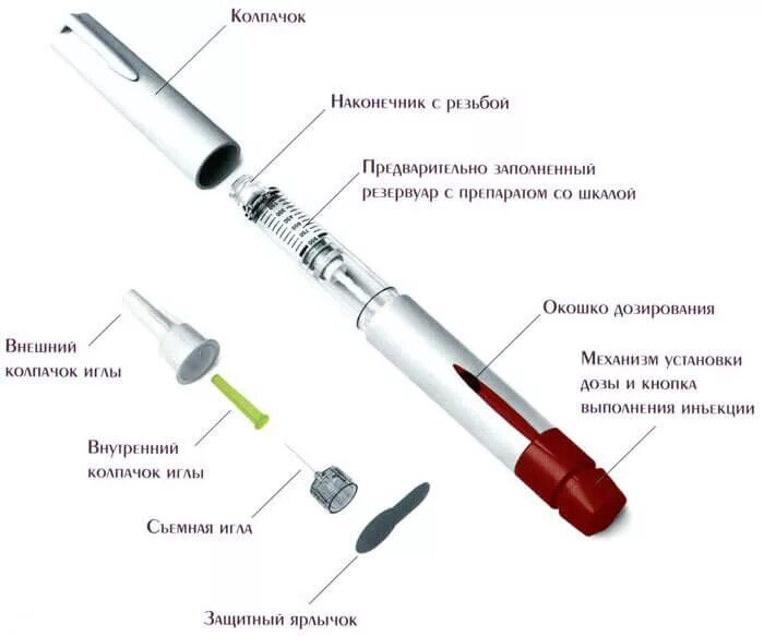 Колпачок на иглу. Строение инсулиновой шприц ручки. Конструкция инсулиновой шприц-ручки. Строение шприца для инсулина. Шприц-ручка для инсулина состоит.