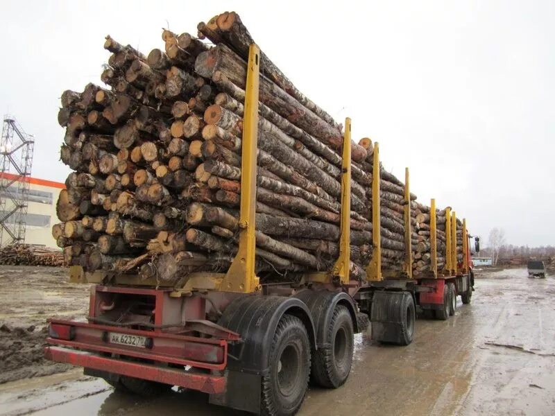 камаз 6350 лесовоз. бу лесовоз марий эл. бу лесовоз марий эл. бу лесовоз марий эл. прицеп маз лесовозный 4х осный.