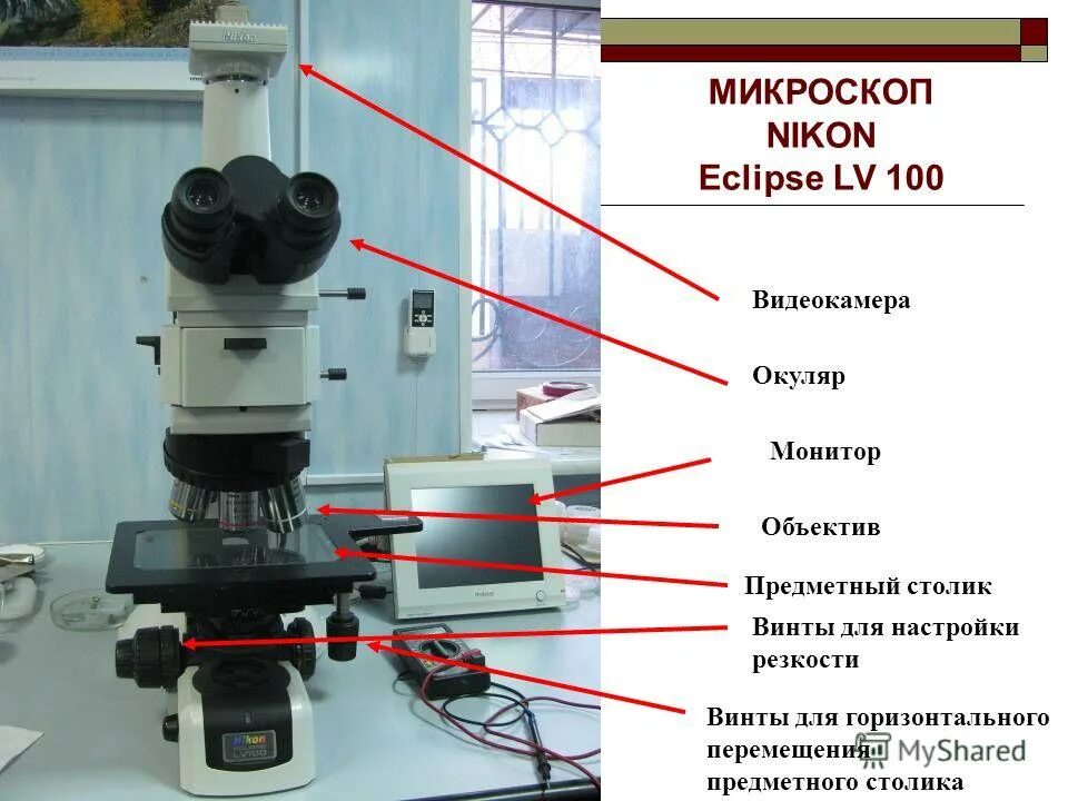 Изображение в объективе микроскопа. Микроскоп nikon eclipse lv100n pol. поляризационный микроскоп nikon eclipse lv100pol. окуляр nikon от микроскопа. винты микроскопа.